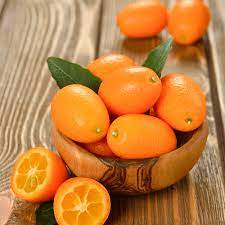 Sweet Lemon  Fruit Plant (Grafted) - Naturemart.in