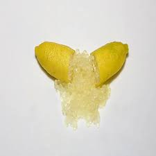 Finger Lemon Yellow fruit Plant Grafted - Naturemart.in